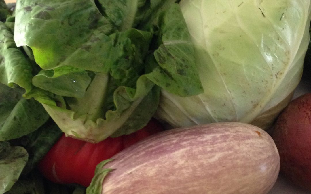 Vegetarierin von ganzem Herzen