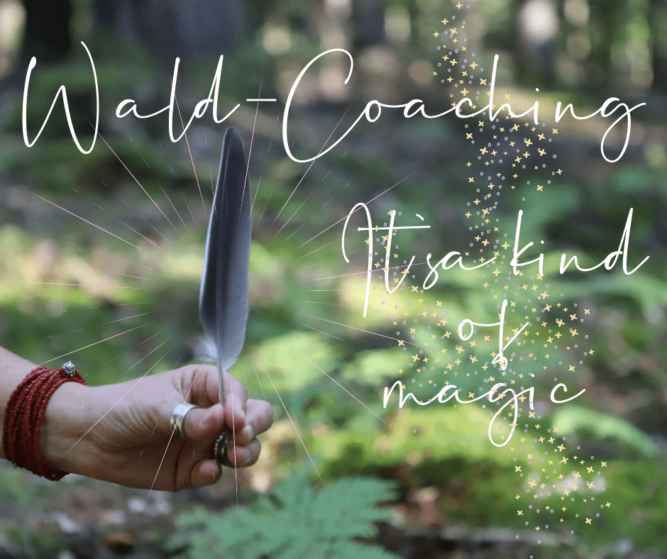Waldcoaching – it`s a kind of magic