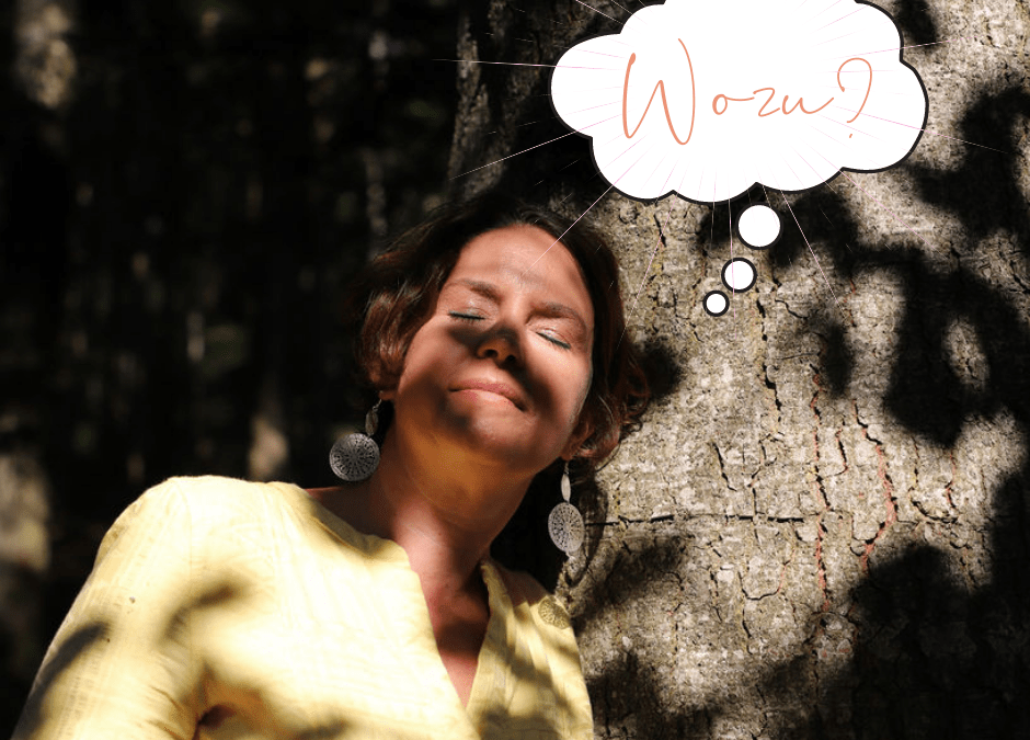 Stellst du dir monatlich Warum-Fragen?