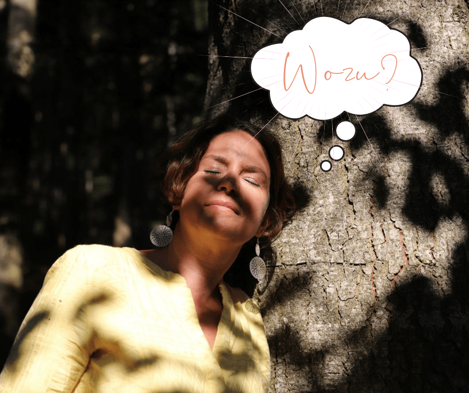 Stellst du dir monatlich Warum-Fragen?